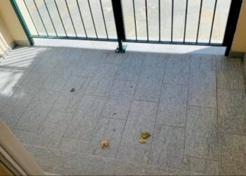 Balcone - Three-room apartment via Roma, Varazze - photo 9