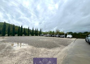 WhatsApp Image 2025-04-22 at 10.49.50 (1).jpeg - Locale Commerciale Via San Vito di Sotto, San Casciano in Val di Pesa - foto 8