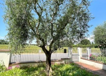 WhatsApp Image 2023-05-24 at 11.36.57 (2).jpeg - Villa a Schiera Via Trento, Campi Bisenzio - foto 25