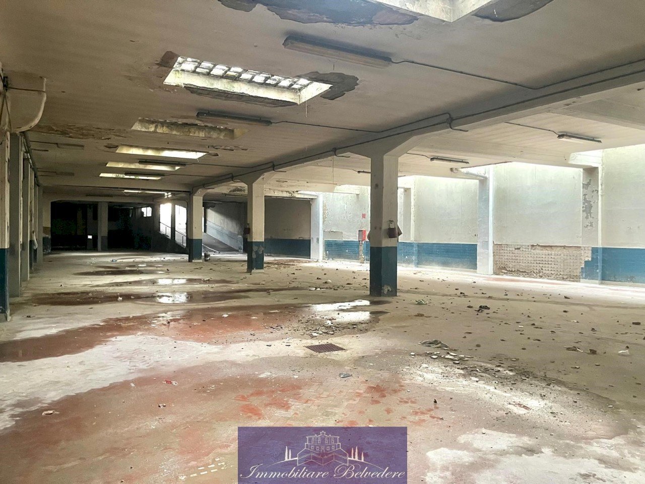 WhatsApp Image 2025-01-30 at 16.55.51 (4).jpeg - Box Via Baracca, Firenze - foto 1