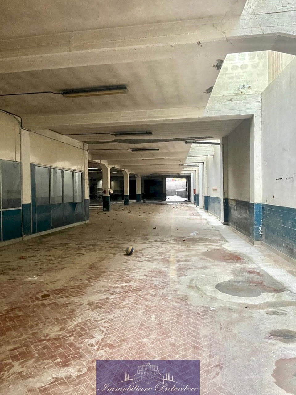 WhatsApp Image 2025-01-30 at 16.55.50.jpeg - Box Via Baracca, Firenze - foto 2