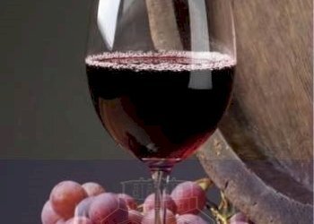 575B10E0-4C6B-4486-B0C7-E00E78EFA84F.jpg - Alimentari - Gastronomia Via Palmieri, Firenze - foto 6