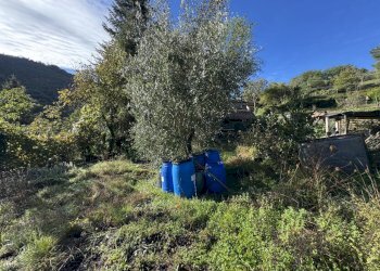 terreno - Porzione di casa Via Peraldaccio 2, Cantagallo - foto 6