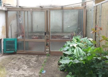 giardino - Villa Via Francesco Ferrucci, Prato - photo 17