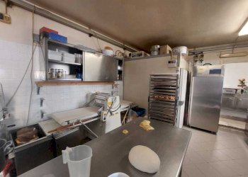 laboratorio - Pasticceria Piazza XX Settembre, Poggio a Caiano - foto 16