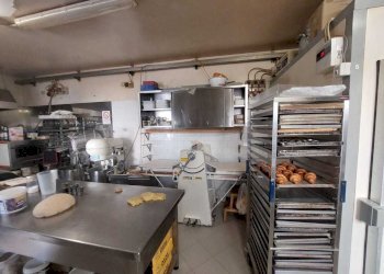 laboratorio - Pasticceria Piazza XX Settembre, Poggio a Caiano - foto 17