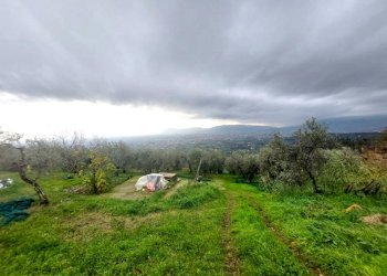 terreno - Casale Via di Mezzomonte, Pistoia - foto 8
