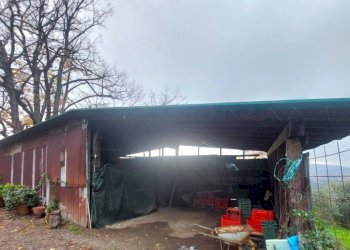 rimessa - Casale Via di Mezzomonte, Pistoia - foto 13