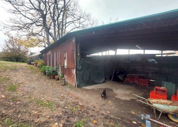 rimessa - Casale Via di Mezzomonte, Pistoia - foto 14