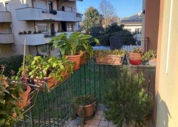 IMG-20250206-WA0052.jpg - Appartamento via de bernardi, Bellaria-Igea Marina - foto 3