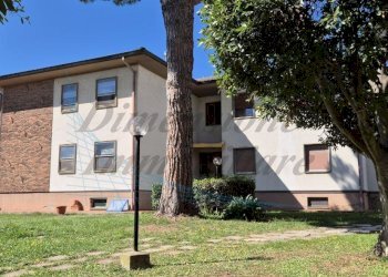 photo_3_2025-09-24_16-52-30.jpg - Quadrilocale Via del Cotone, Rosignano Marittimo - foto 5