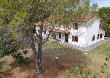 photo_2_2025-08-04_19-31-07.jpg - Villa SR206, Santa Luce - foto 1