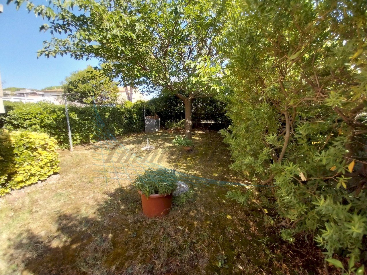 Giardino ampio.jpg - Villa Rosignano Marittimo - foto 3