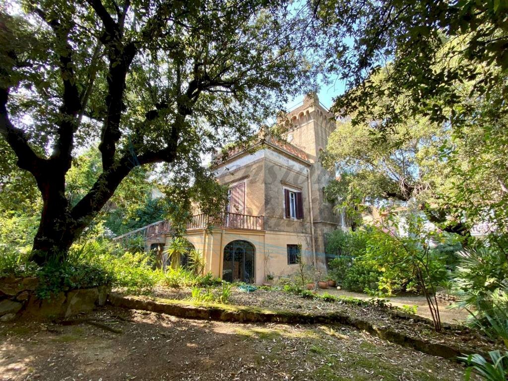 photo_38_2025-07-05_11-09-19 (FILEminimizer).jpg - Villa Via D. Martelli, Rosignano Marittimo - foto 3