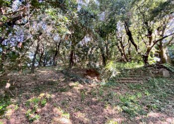 photo_40_2025-07-05_11-09-19 (FILEminimizer).jpg - Villa Via D. Martelli, Rosignano Marittimo - foto 29