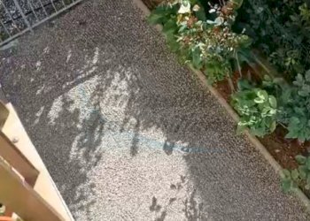 Visuale dall\' alto.jpg - Trilocale Piazza Garibaldi 111/112, Rosignano Marittimo - foto 4