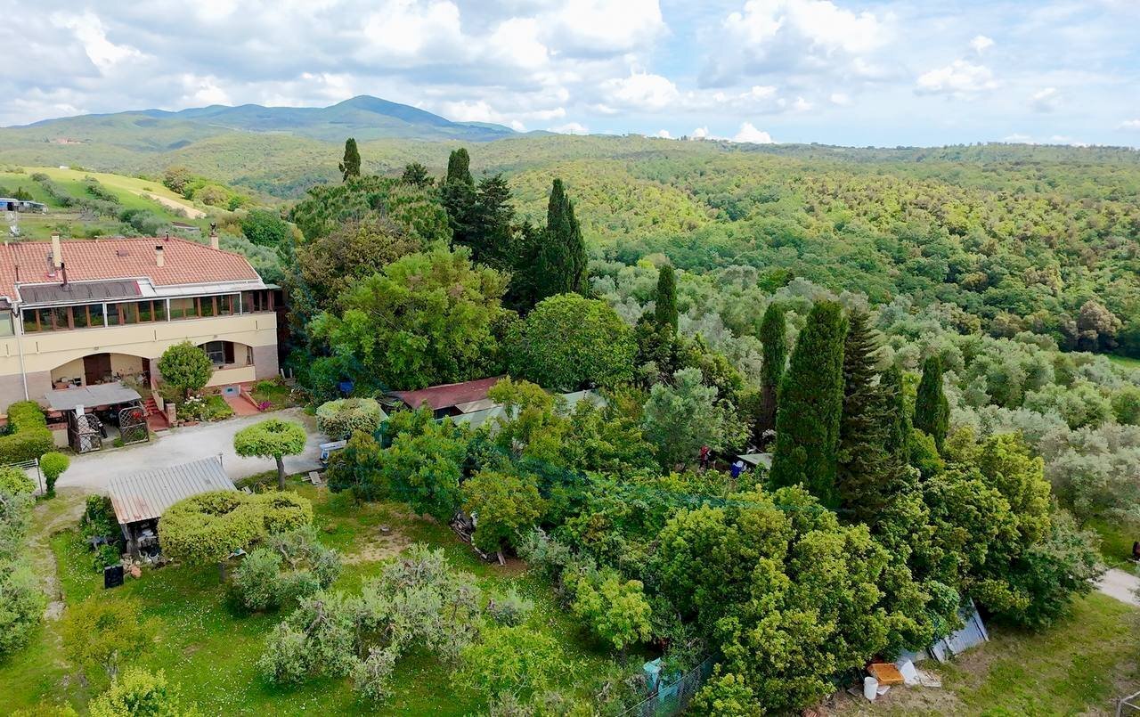 photo_2025-05-16_11-45-42.jpg - Appartamento Via Po 17, Cecina - foto 3