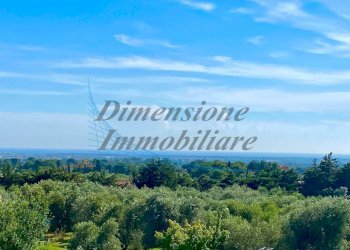 32185.jpg - Appartamento Via Po 17, Cecina - foto 2