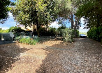 photo_2025-05-16_11-45-44.jpg - Appartamento Via Po 17, Cecina - foto 6