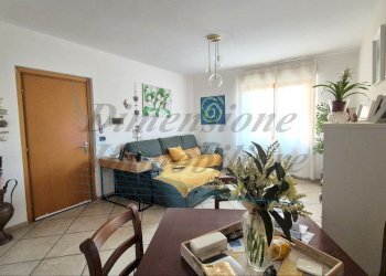 photo_15_2025-05-16_11-11-18.jpg - Quadrilocale Via A. Catalani, Rosignano Marittimo - foto 1