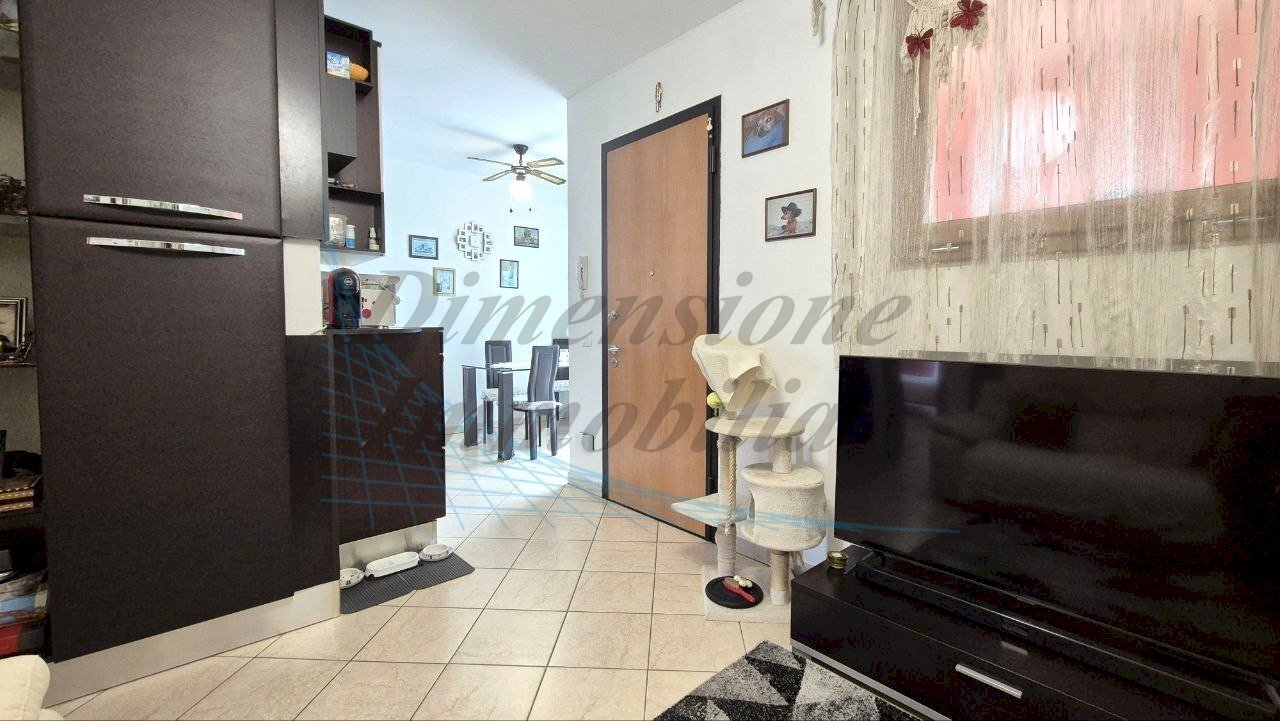 photo_15_2025-05-08_12-43-17.jpg - Trilocale Via della Repubblica, Rosignano Marittimo - foto 2