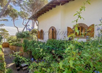 _16.jpg - Villa Via Guglielmo Marconi, Rosignano Marittimo - foto 9