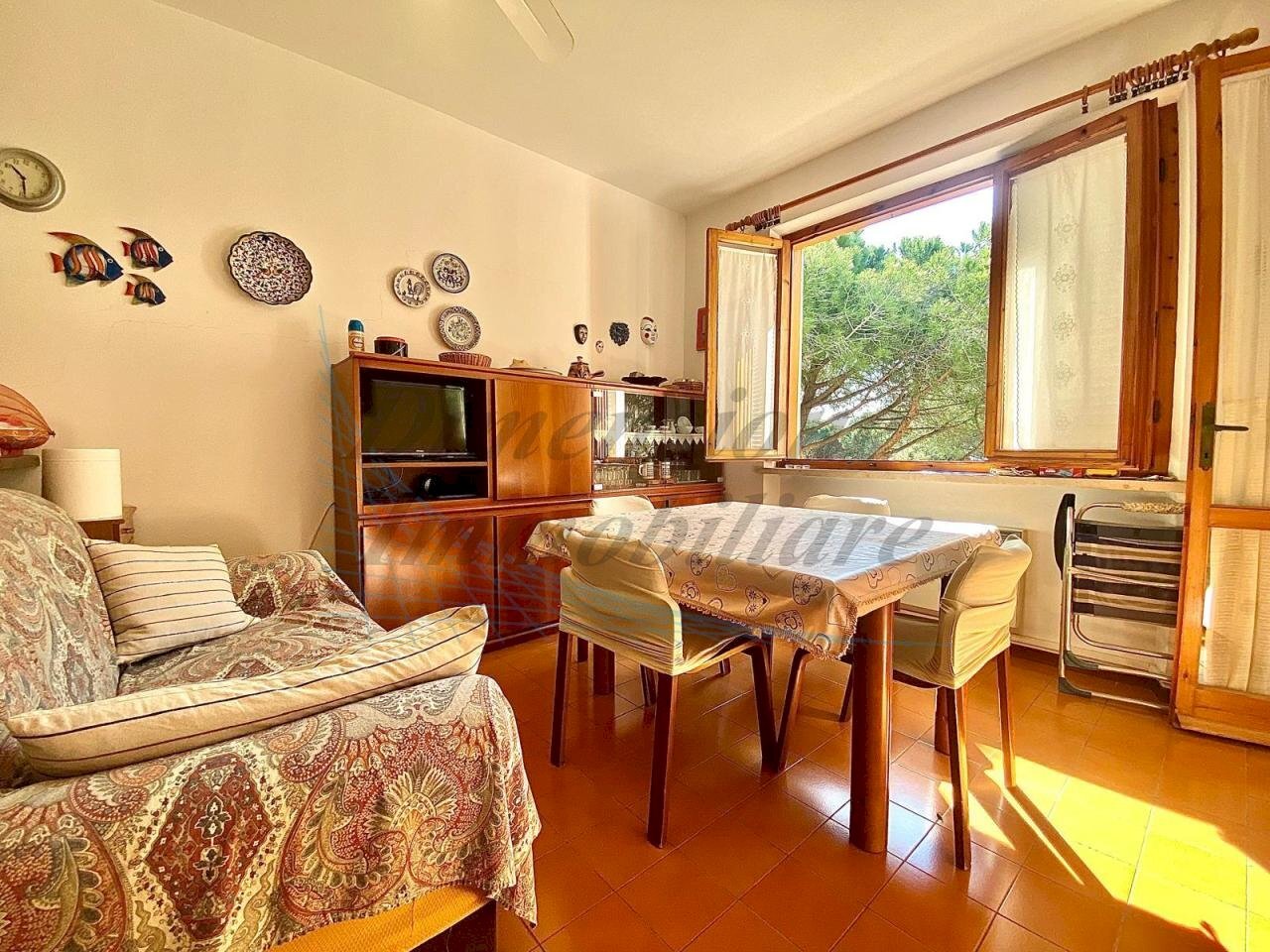 WhatsApp Image 2025-04-12 at 14.11.54 (5).jpeg - Trilocale Via della Ragnaia, Rosignano Marittimo - foto 1