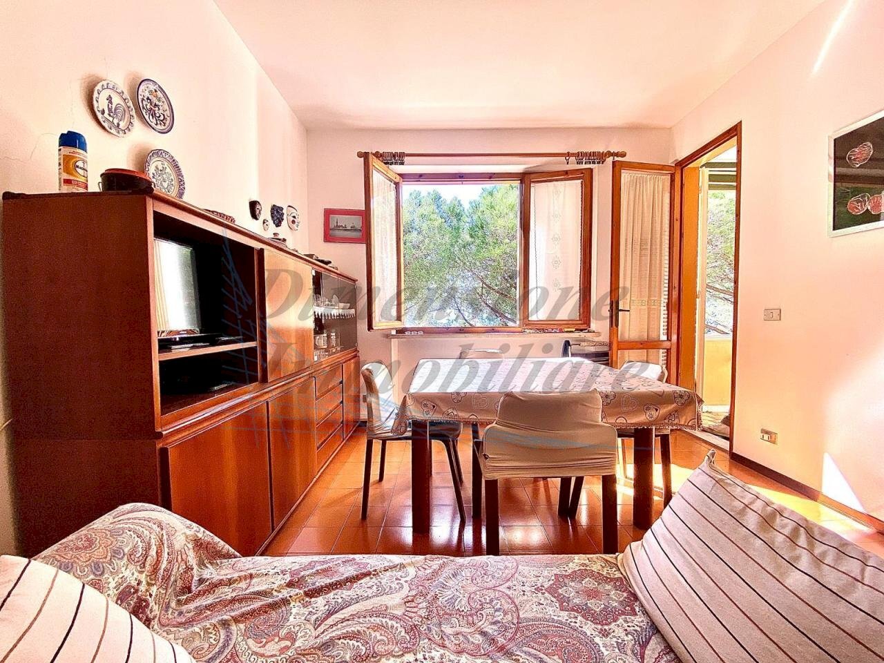 WhatsApp Image 2025-04-12 at 14.11.54 (7).jpeg - Trilocale Via della Ragnaia, Rosignano Marittimo - foto 2