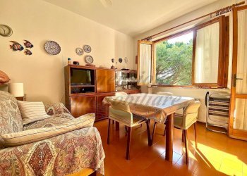 WhatsApp Image 2025-04-12 at 14.11.54 (5).jpeg - Trilocale Via della Ragnaia, Rosignano Marittimo - foto 1