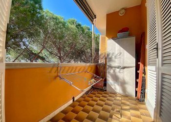 WhatsApp Image 2025-04-12 at 14.11.54.jpeg - Trilocale Via della Ragnaia, Rosignano Marittimo - foto 7