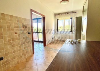 5971914810205522063.jpg - Quadrilocale Via Gioacchino Rossini, Rosignano Marittimo - foto 17