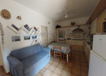 20250308_113437.jpg - Trilocale Via Pio la Torre  13, Rosignano Marittimo - foto 5