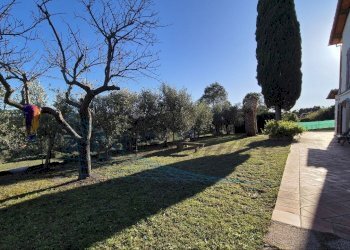 photo_17_2024-11-27_17-37-20.jpg - Villa Località la Maestà, Rosignano Marittimo - foto 15