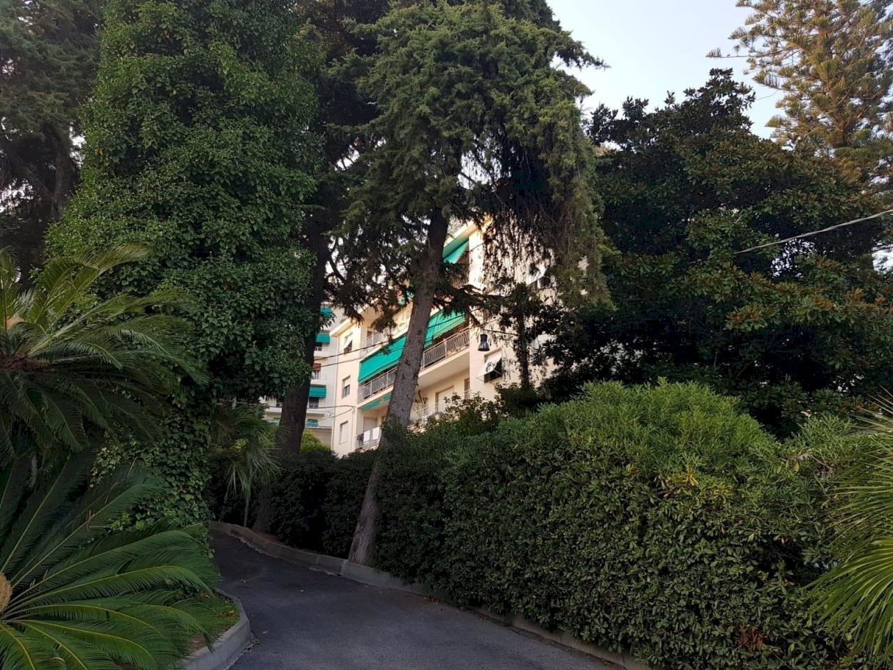 2.jpeg - Bilocale via Pietralunga 4, Sanremo - foto 3