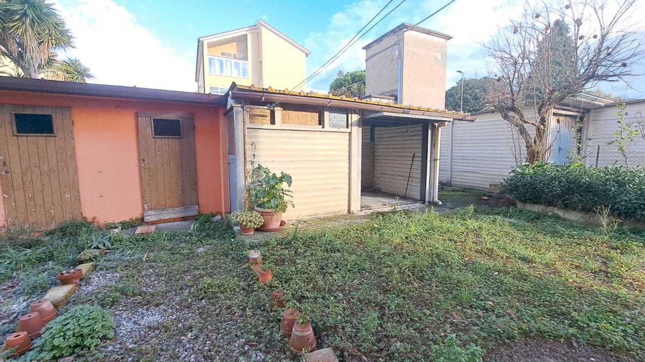 1000113827.jpg - Trilocale Pesaro - foto 3