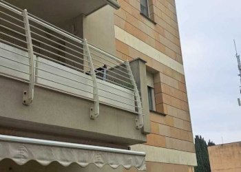 IMG-20241107-WA0022.jpg - Trilocale Pesaro - foto 1