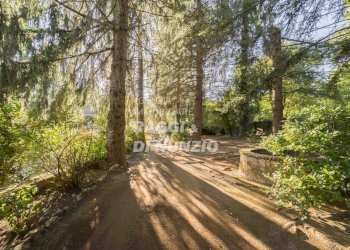 WEB_002.jpg - Villa Rocca Priora - foto 16