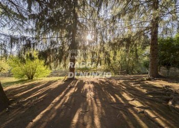 WEB_017.jpg - Villa Rocca Priora - foto 20