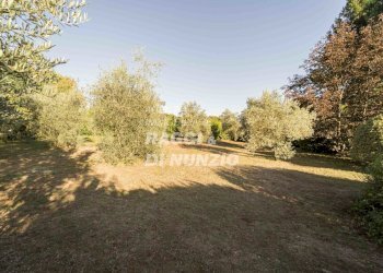 WEB_021.jpg - Villa Rocca Priora - foto 22