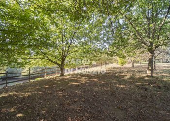 WEB_029.jpg - Villa Rocca Priora - foto 26