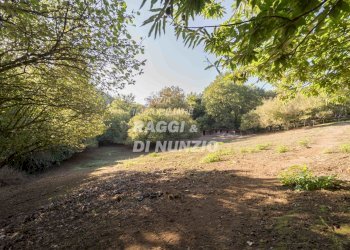 WEB_030.jpg - Villa Rocca Priora - foto 27