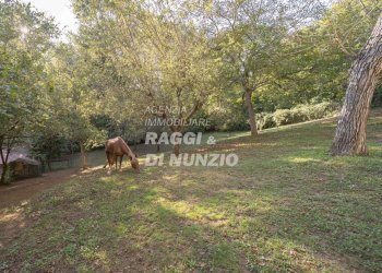 WEB_036.jpg - Villa Rocca Priora - foto 28