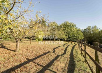 WEB_032.jpg - Villa Rocca Priora - foto 30