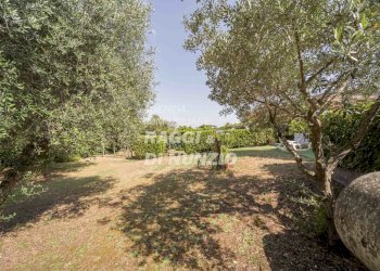 WEB_008.jpg - Villa Via di salé 45, Frascati - foto 8