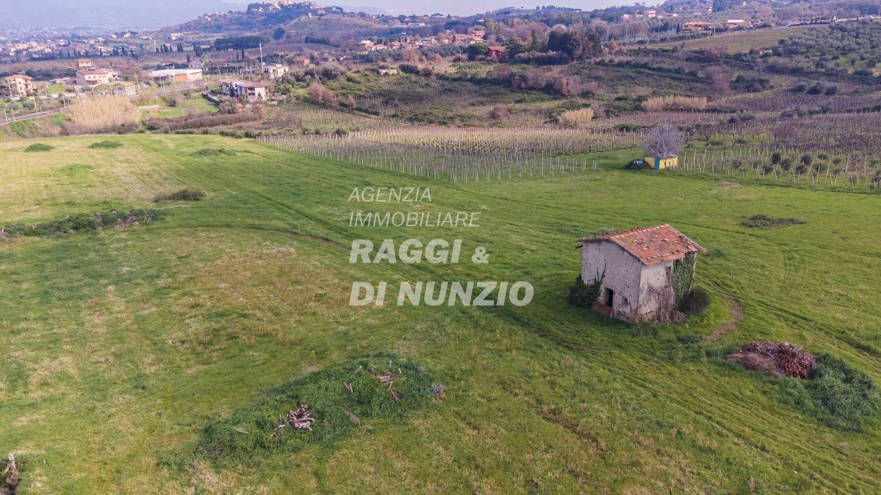 0028.jpg - Terreno agricolo Via delle Selve di Pallotta, Monte Compatri - foto 2