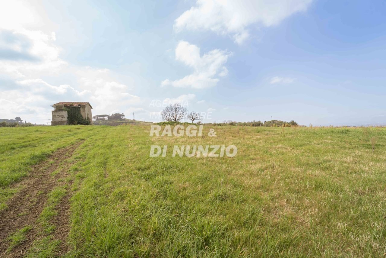 0001.jpg - Terreno agricolo Via delle Selve di Pallotta, Monte Compatri - foto 3