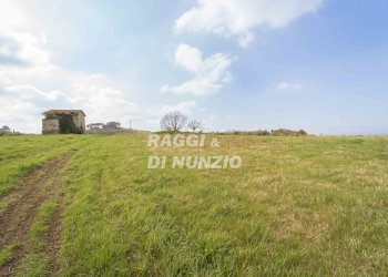 0001.jpg - Terreno agricolo Via delle Selve di Pallotta, Monte Compatri - foto 3