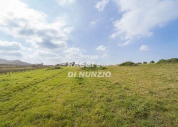 0002.jpg - Terreno agricolo Via delle Selve di Pallotta, Monte Compatri - foto 4