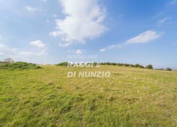 0003.jpg - Terreno agricolo Via delle Selve di Pallotta, Monte Compatri - foto 5