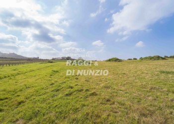 0004.jpg - Terreno agricolo Via delle Selve di Pallotta, Monte Compatri - foto 6